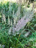 IMG_20200917_161820_1.jpg