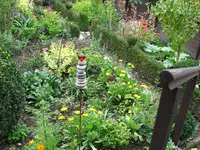 IMG_7290.webp