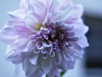 image004.webp