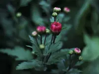 image005.webp