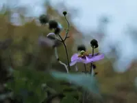 image007.webp
