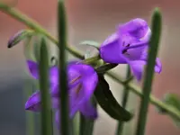 image011.webp
