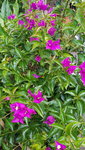 20200916_180159.jpg