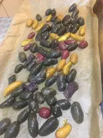 Buntebackkartoffeln.webp