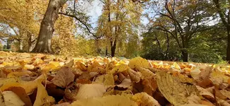 20201024_124432.jpg