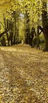 20201024_124331.jpg