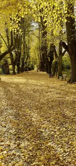 20201024_124331.jpg