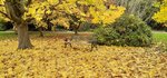 20201024_125337.jpg