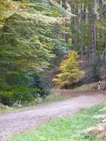 82EC2575-B052-40DF-A1B7-8EF7D6C0900E.webp