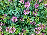 IMG_20201018_144544_1.jpg