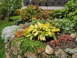 IMG_20201025_103344.jpg