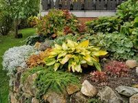 IMG_20201025_103344.webp