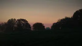 P1240271.webp