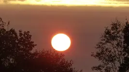 P1240291.webp