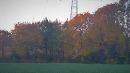 P1240275.webp