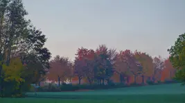 P1240274.webp