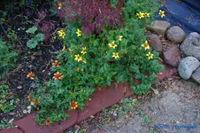 comp_DSC09460.webp