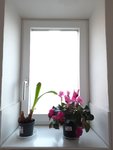20201025_161804.jpg