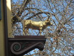 SAM_2005.JPG