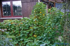 comp_DSC09461.webp