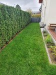 20201026_115229.jpg