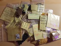 20201026_211748.webp
