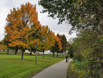 IMG_20201019_160105.png