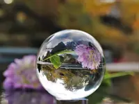 image001.webp