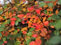 image007.webp