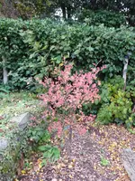 P1010951.webp