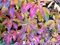 IMG_20201025_150420_1.webp