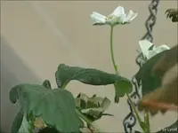 c014.webp