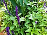 IMG_20200910_113800.jpg