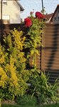 20200920_184113.jpg