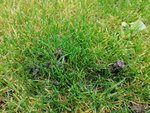 IMG_20201028_145900.jpg
