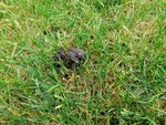 IMG_20201028_145856.jpg