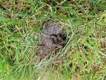 IMG_20201028_145845.jpg