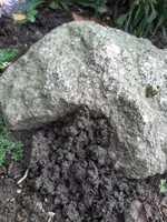 20201028_155245.webp 20201028_155245.webp