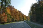 20201025_163104.jpg