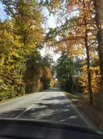 20201028_172949.webp
