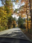 20201028_172949.jpg