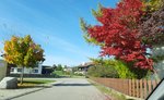 20201028_172804.jpg