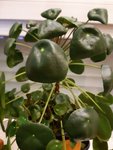 20201028_191053.jpg