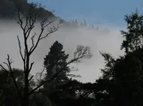 IMG_4260btv (3).webp