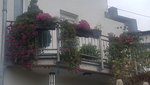 20201029_105411.jpg