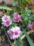 20201029_144541.jpg