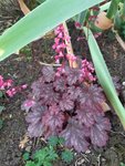 20201029_144229.jpg