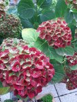 20201029_144113.jpg