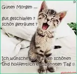 Lustige-Guten-Morgen-Bilder_28_738ad.webp