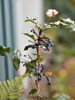 image005.webp